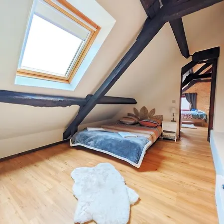 Duplex En Plein Centre Historique - A Pied *