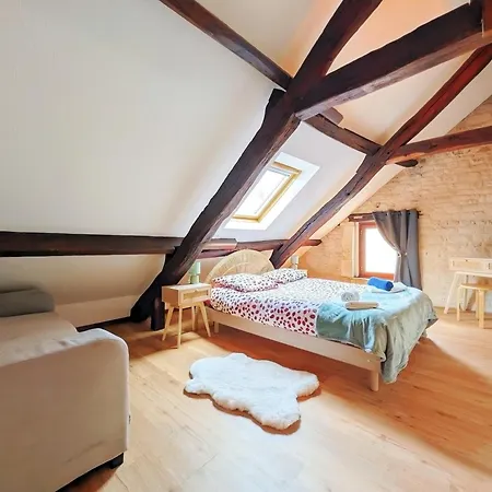 Duplex En Plein Centre Historique - A Pied *